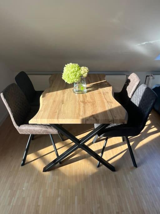 Apartment Schicke Helle Galeriewohnung Obernburg am Main